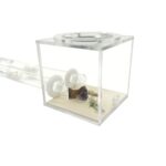module fondation fourmis