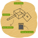 Kit de fondation Messor Barbarus