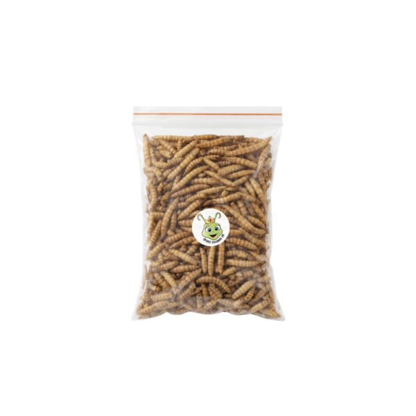 insectes pour fourmis