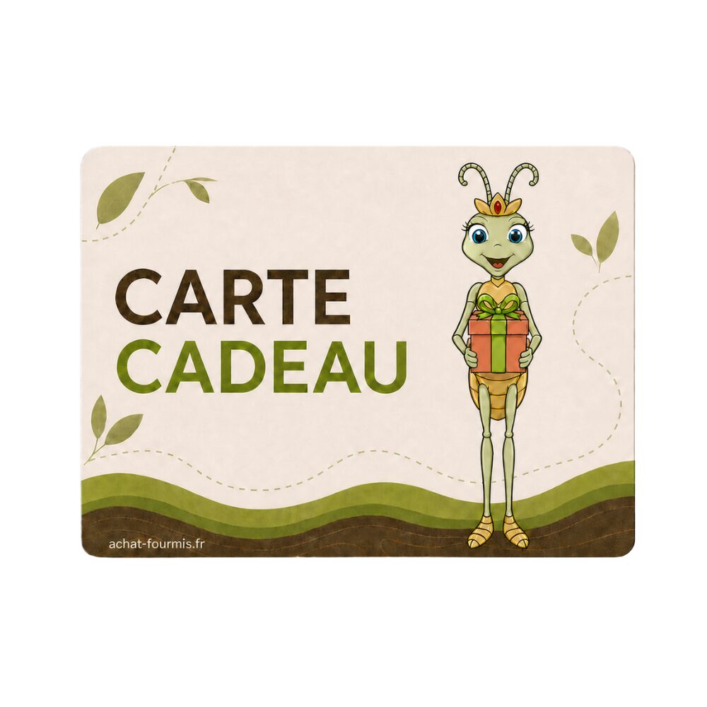 Offre-lui une carte cadeau