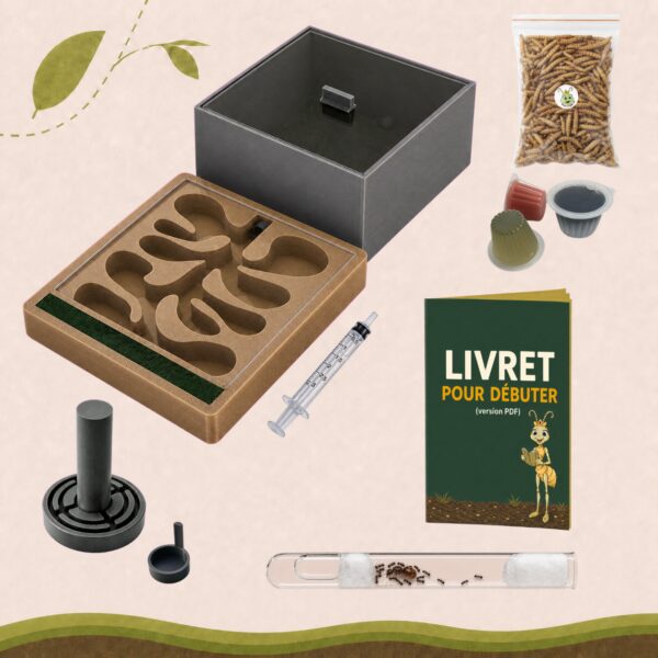 Kit Deluxe Lasius Niger👑