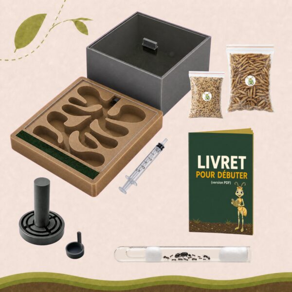 Kit Messor Barbarus Deluxe