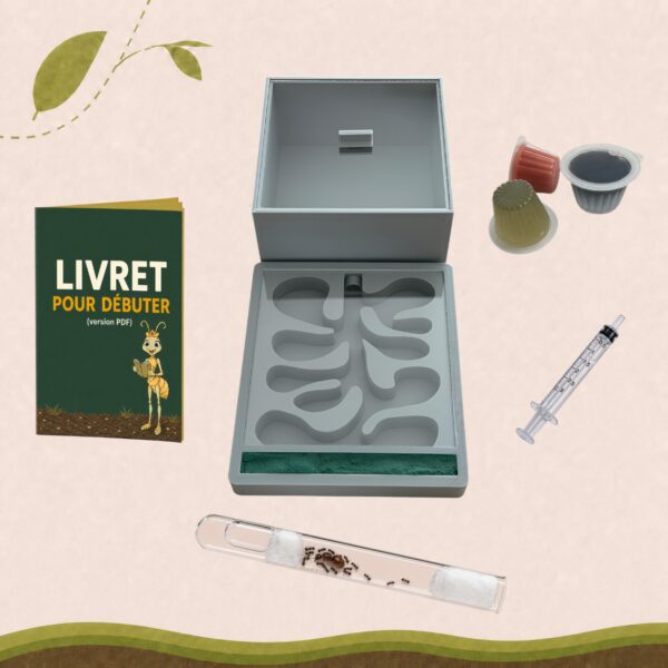 Kit Lasius Niger