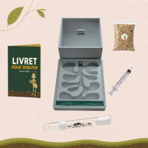 Kit Messor Barbarus