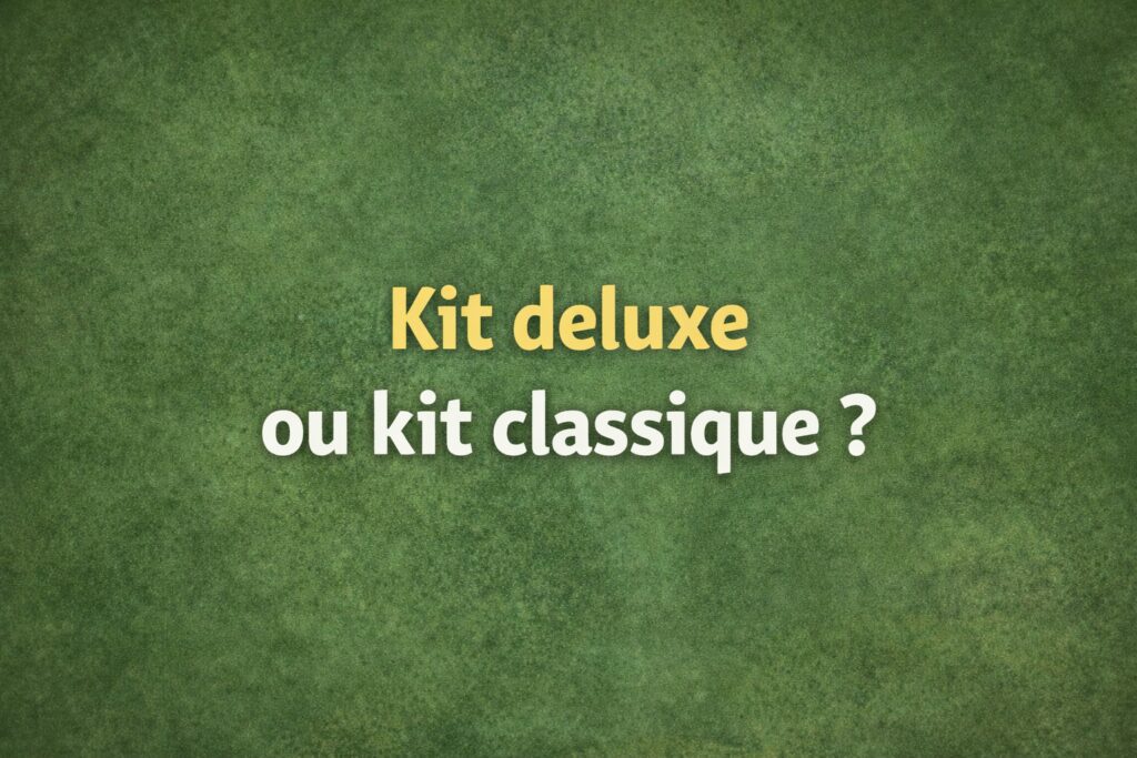 Kit de fourmis classique vs kit deluxe : lequel choisir ?